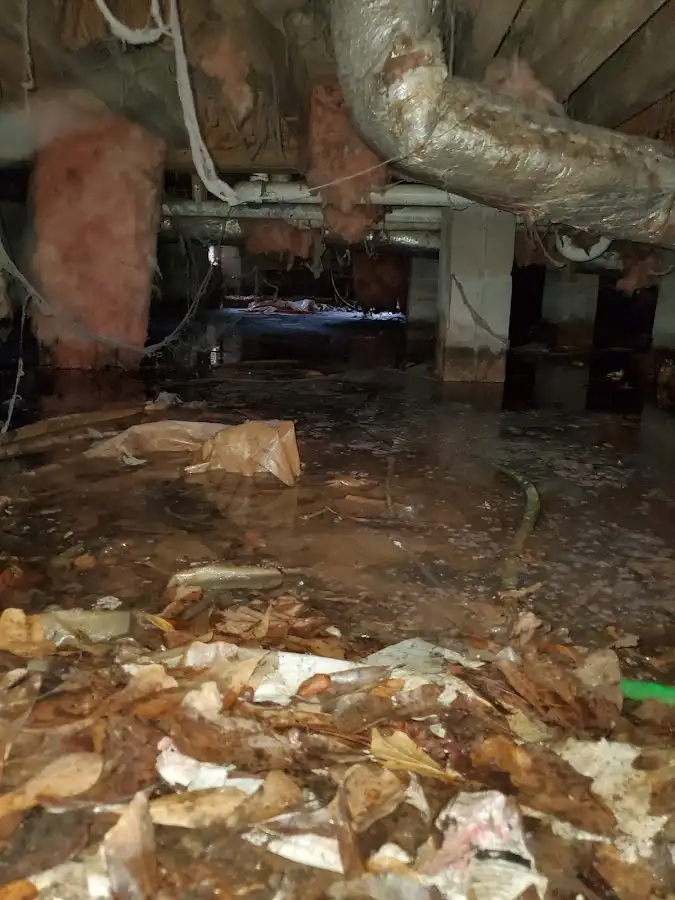 Crawl space flood assessment for Commercial Water Damage Restoration in Eastpointe