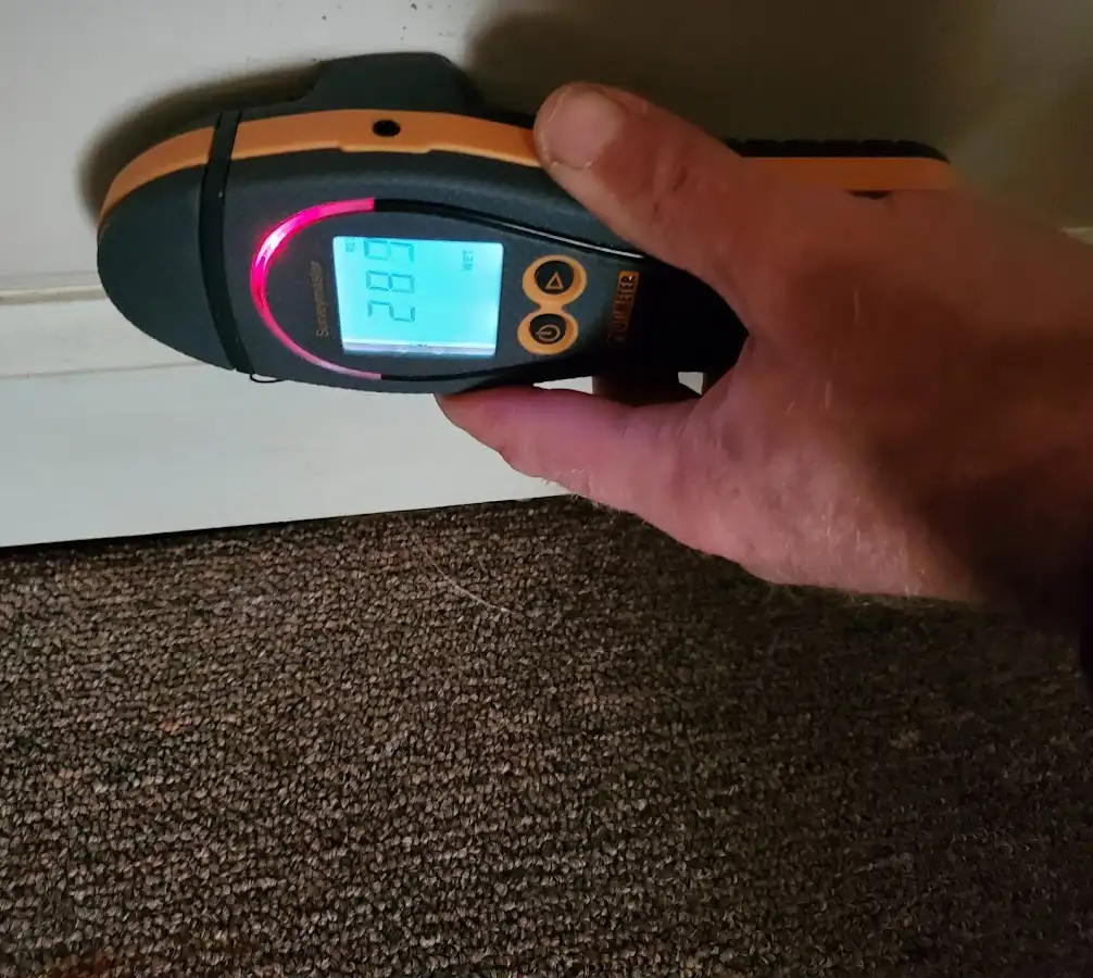 Moisture detection at baseboard during Sewage Cleanup & Sanitation in Eastpointe